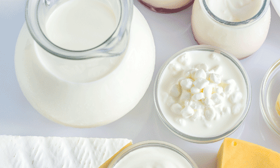 Transglutaminase Enzyme in Dairy